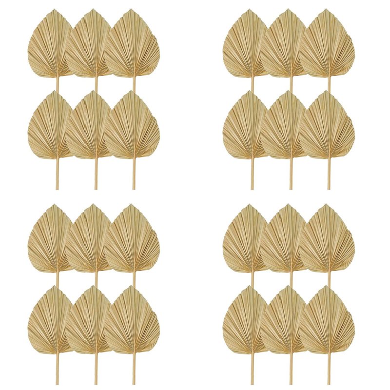 Palm Leaf Dried - 24PCS Dried Palm Leaves Natural Dried
