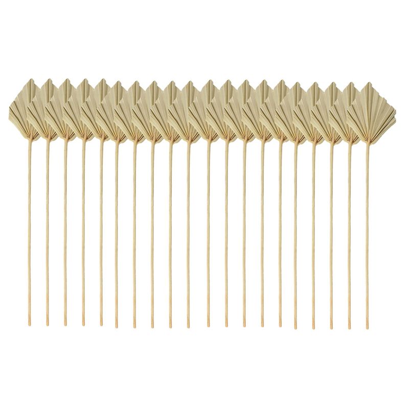 Palm Leaf Dried - HLZS-Boho Dried Palm Spears Small Natural