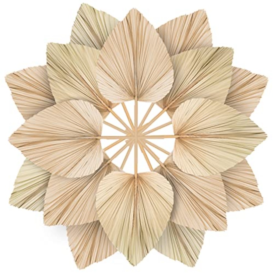 10 Large Bulk Boho Dried Palm  - Palm Leaf Dried incelemesi ve fiyatı