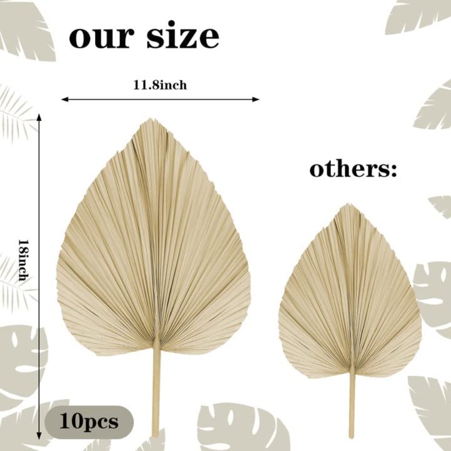 10 Large Bulk Boho Dried Palm  - Palm Leaf Dried incelemesi ve fiyatı