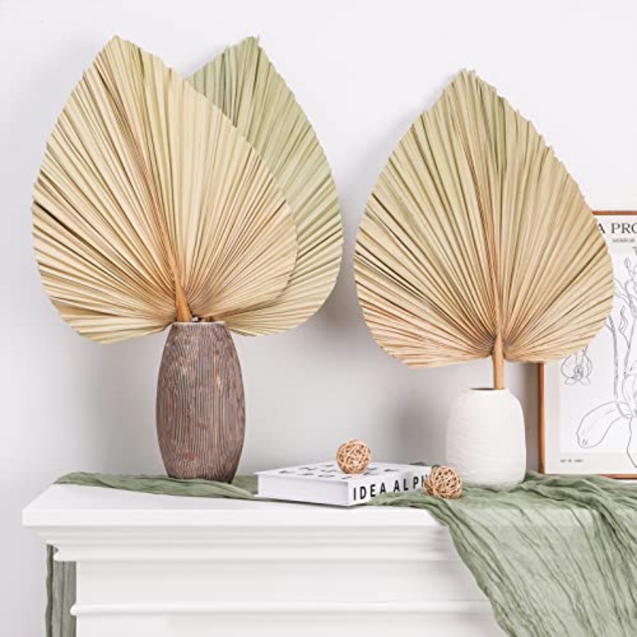 10 Large Bulk Boho Dried Palm  - Palm Leaf Dried incelemesi ve fiyatı