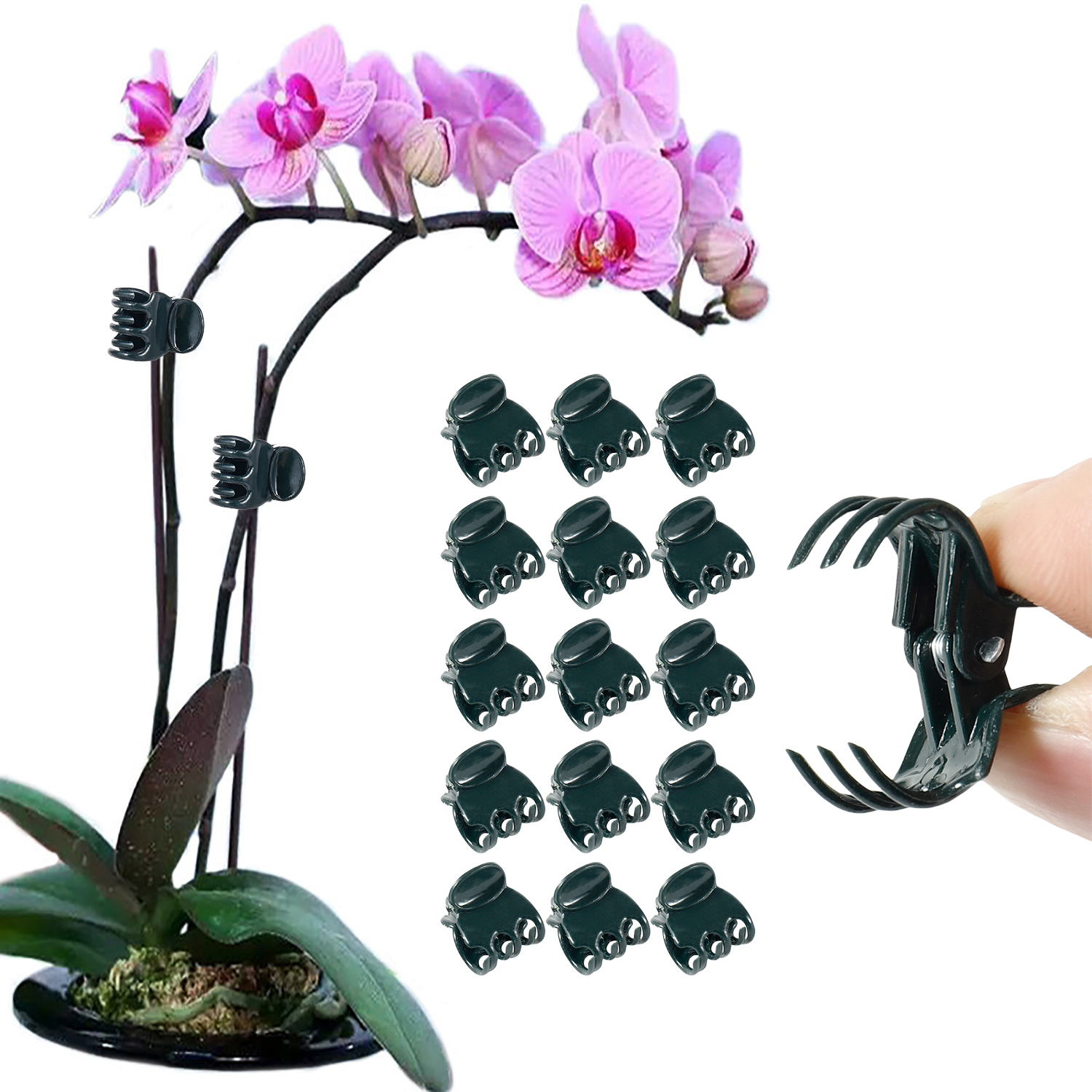 50/100Pcs Plant Clips Butterfl - Florist Supply Bulk incelemesi ve fiyatı
