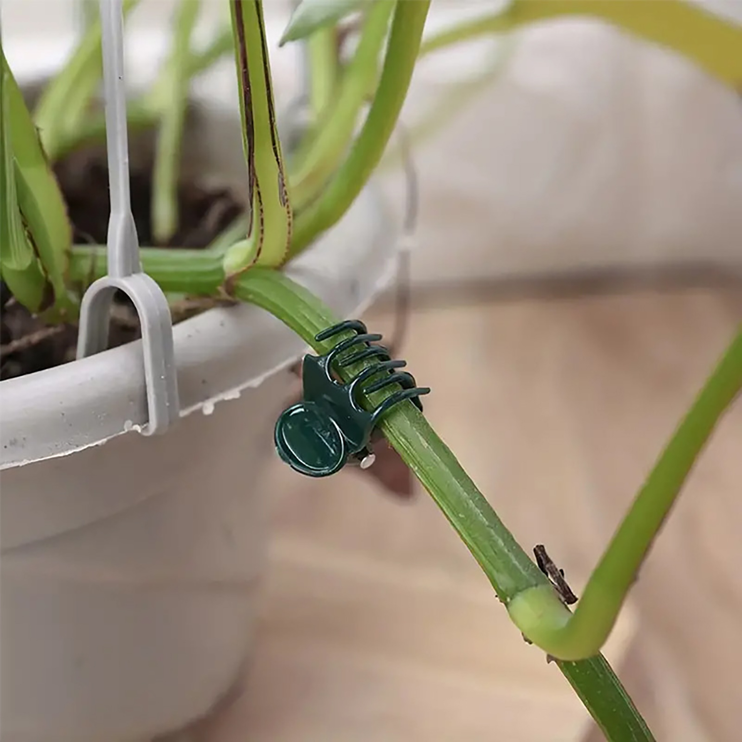 50/100Pcs Plant Clips Butterfl - Florist Supply Bulk incelemesi ve fiyatı