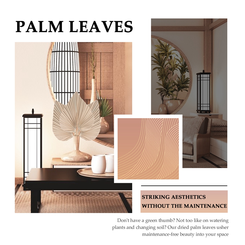 5 Pieces Natural Dried Palm Le - Palm Leaf Dried incelemesi ve fiyatı