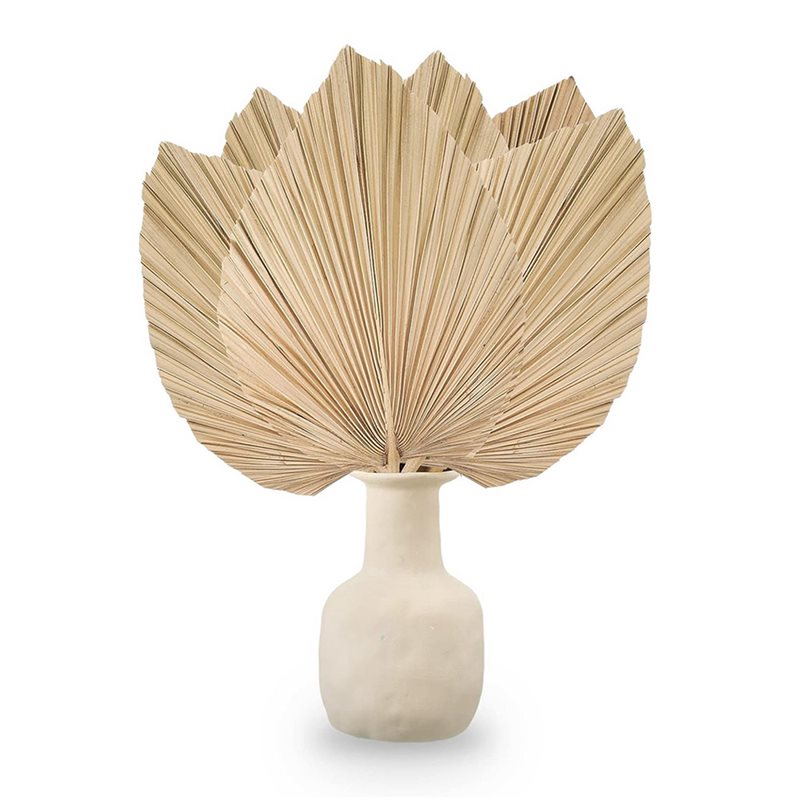 24PCS Dried Palm Leaves Natura - Palm Leaf Dried incelemesi ve fiyatı