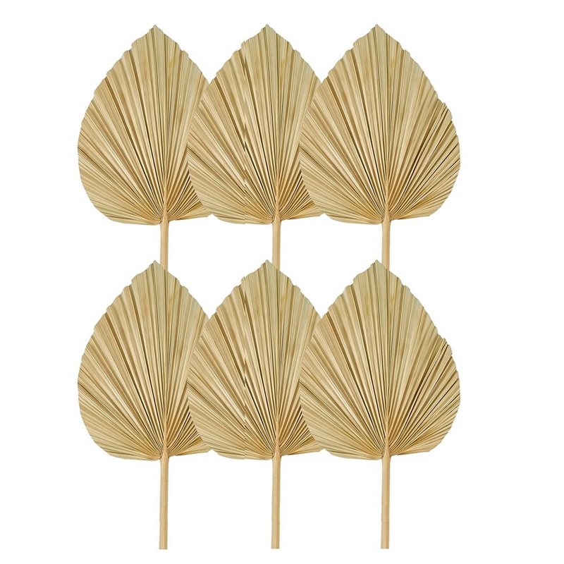 24PCS Dried Palm Leaves Natura - Palm Leaf Dried incelemesi ve fiyatı