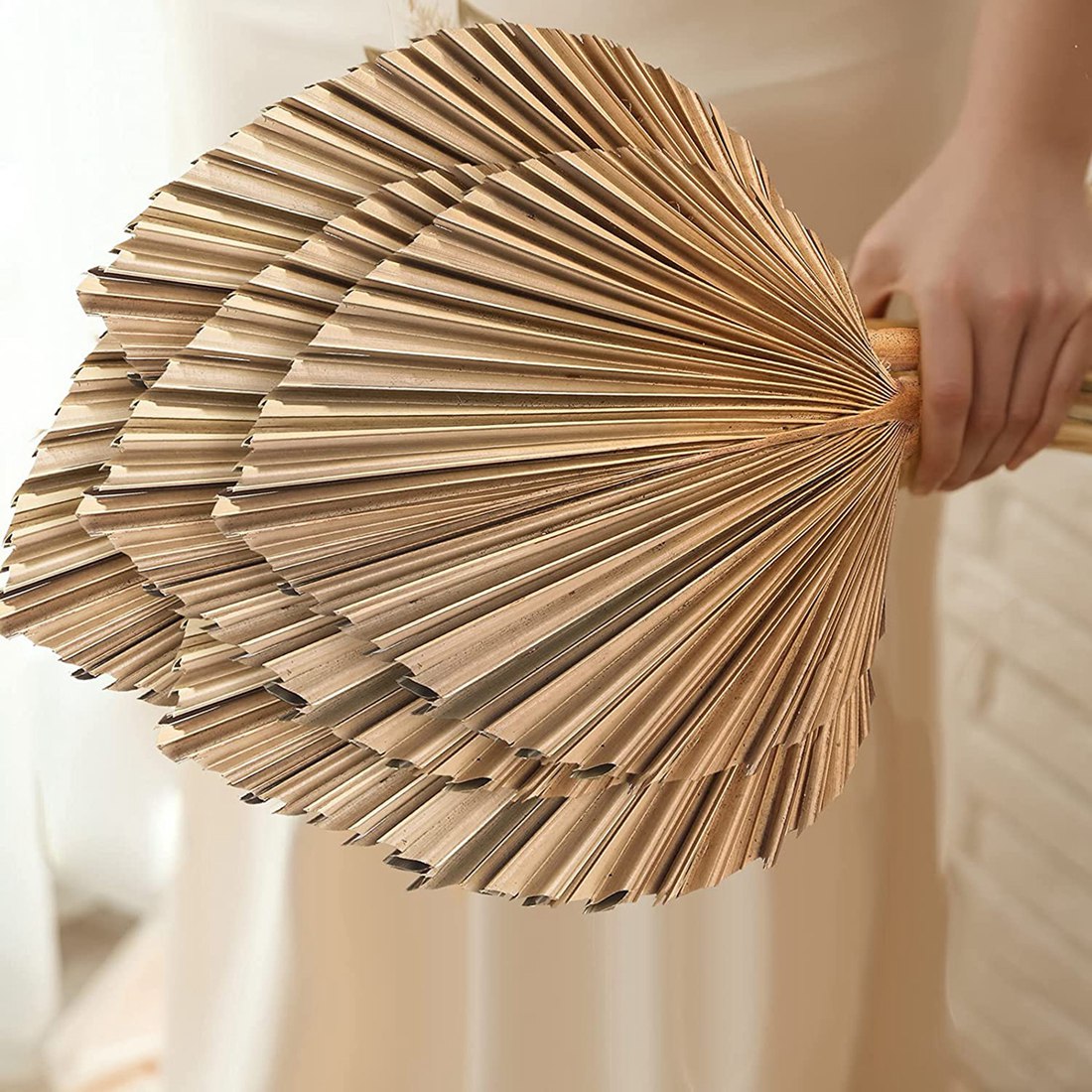 5Pcs Natural Dried Palm Leaves - Palm Leaf Dried incelemesi ve fiyatı
