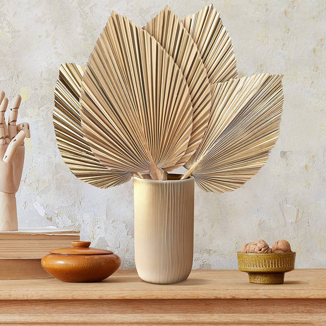 5Pcs Natural Dried Palm Leaves - Palm Leaf Dried incelemesi ve fiyatı