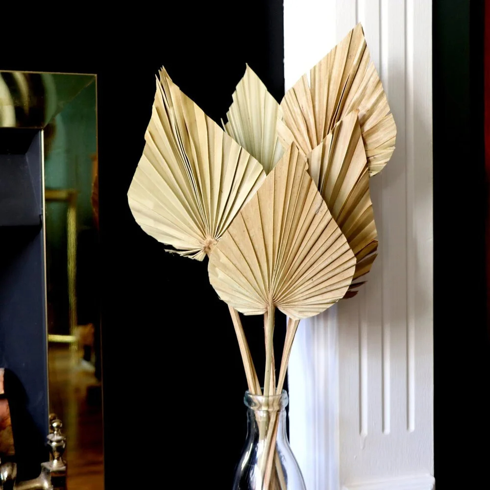 2PCS Palm Fan Leaf Dried Flowe - Palm Leaf Dried incelemesi ve fiyatı