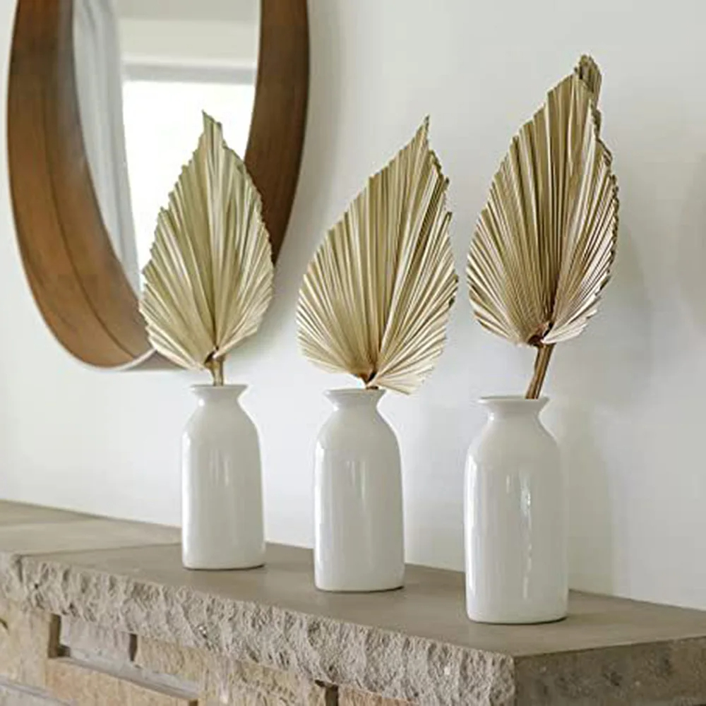 2PCS Palm Fan Leaf Dried Flowe - Palm Leaf Dried incelemesi ve fiyatı