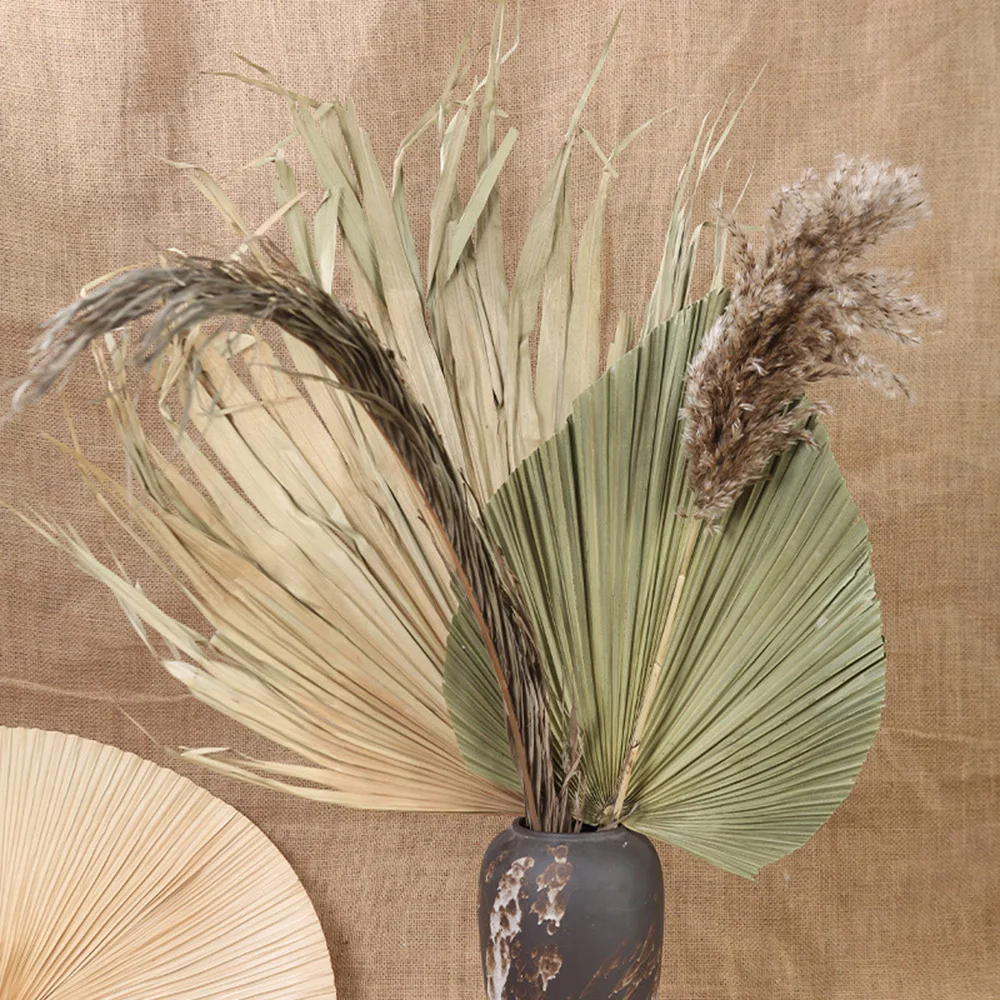 2PCS Palm Fan Leaf Dried Flowe - Palm Leaf Dried incelemesi ve fiyatı