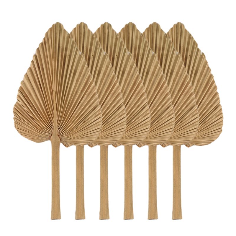 AT84-6PCS Dried Palm Leaves Na - Palm Leaf Dried incelemesi ve fiyatı