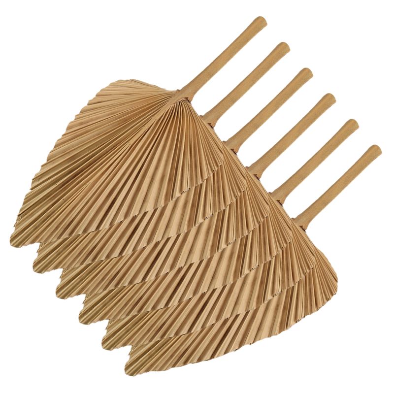 AT84-6PCS Dried Palm Leaves Na - Palm Leaf Dried incelemesi ve fiyatı