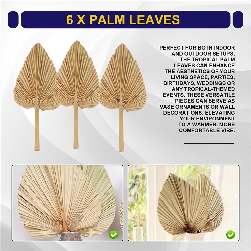 AT84-6PCS Dried Palm Leaves Na - Palm Leaf Dried incelemesi ve fiyatı