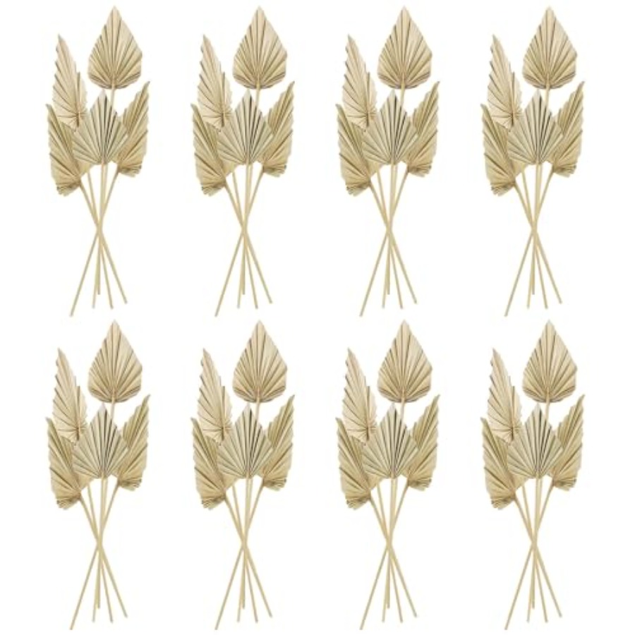 Cenkaiyang 40 Pcs Boho Dried P - Palm Leaf Dried incelemesi ve fiyatı