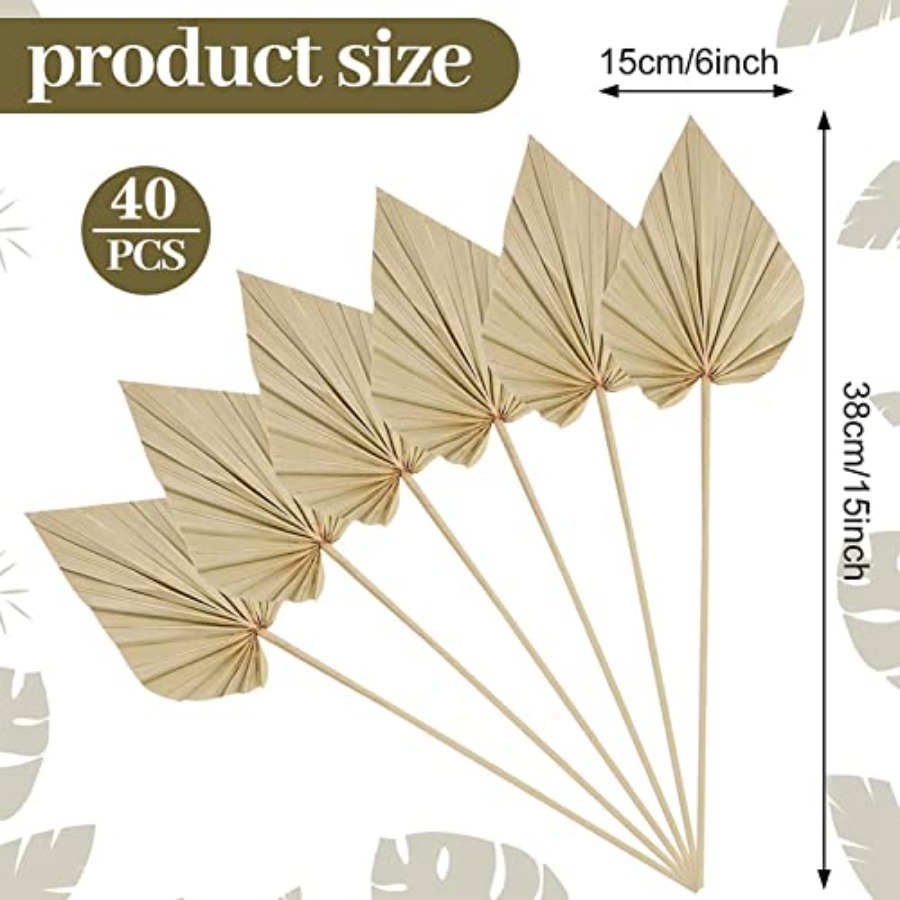 Cenkaiyang 40 Pcs Boho Dried P - Palm Leaf Dried incelemesi ve fiyatı
