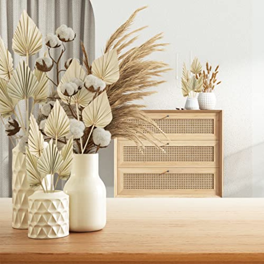 Cenkaiyang 40 Pcs Boho Dried P - Palm Leaf Dried incelemesi ve fiyatı