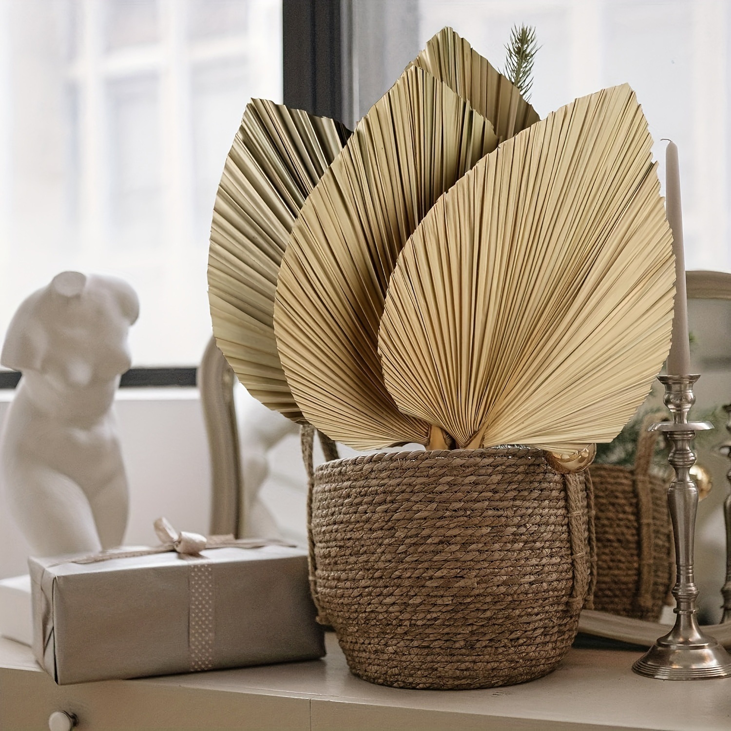 3 PCS Natural Dried Palm Leave - Palm Leaf Dried incelemesi ve fiyatı