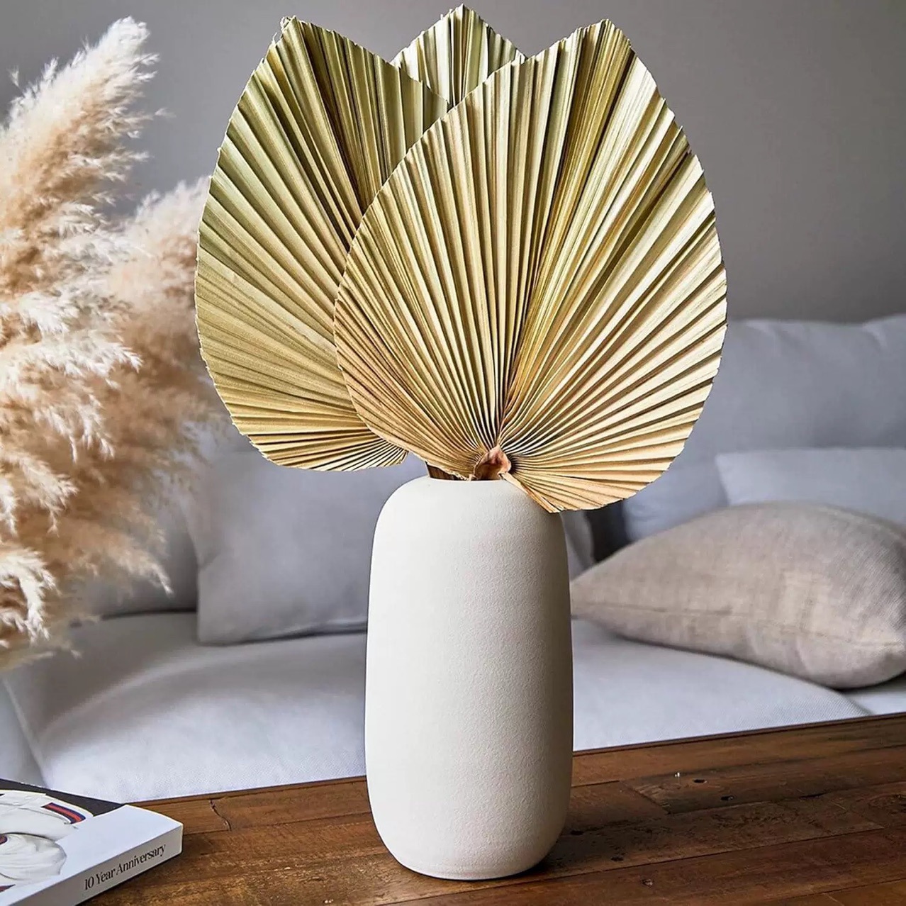 3 PCS Natural Dried Palm Leave - Palm Leaf Dried incelemesi ve fiyatı