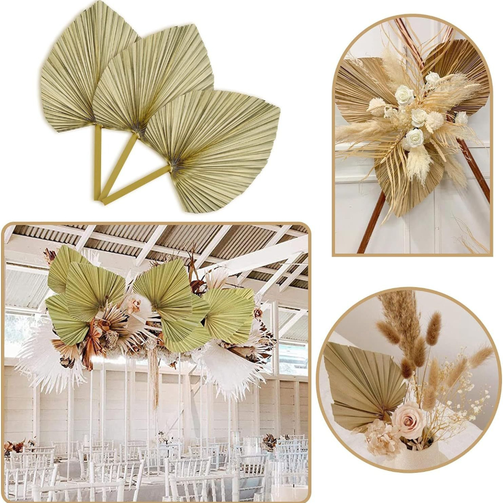3 PCS Natural Dried Palm Leave - Palm Leaf Dried incelemesi ve fiyatı