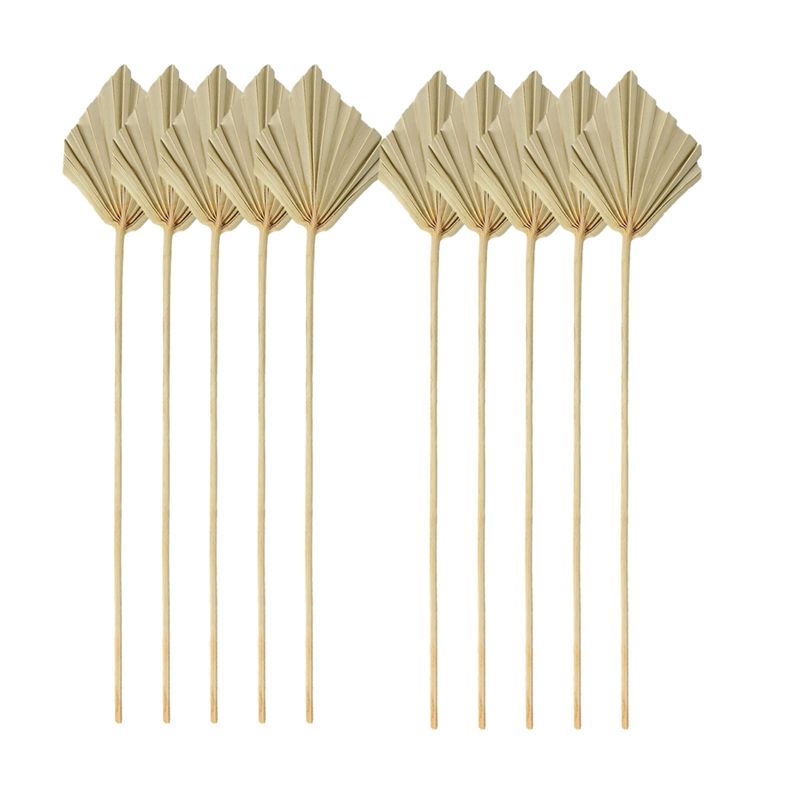 TFORU-Boho Dried Palm Spears S - Palm Leaf Dried incelemesi ve fiyatı