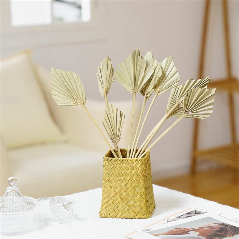TFORU-Boho Dried Palm Spears S - Palm Leaf Dried incelemesi ve fiyatı