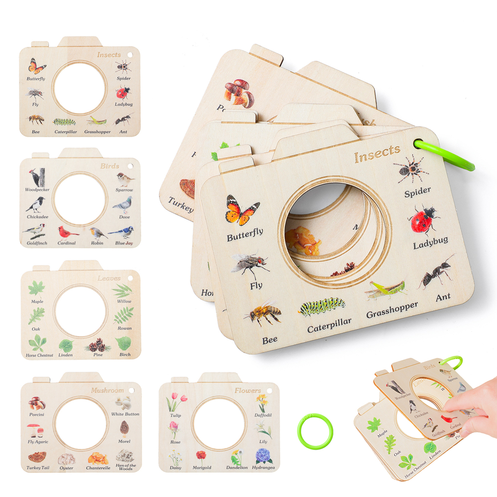 Wooden Camera Shape Nature Cog - Florist Supply Bulk incelemesi ve fiyatı