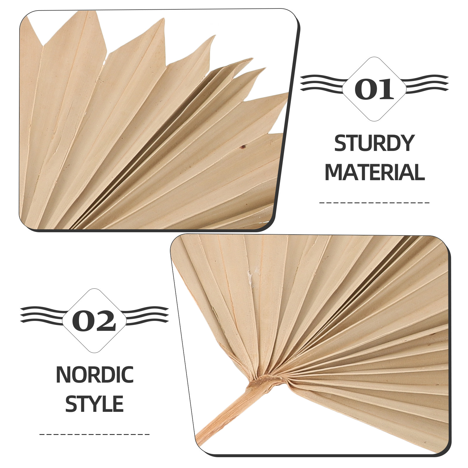 4Pcs Dried Palm Leaf Decoratio - Palm Leaf Dried incelemesi ve fiyatı