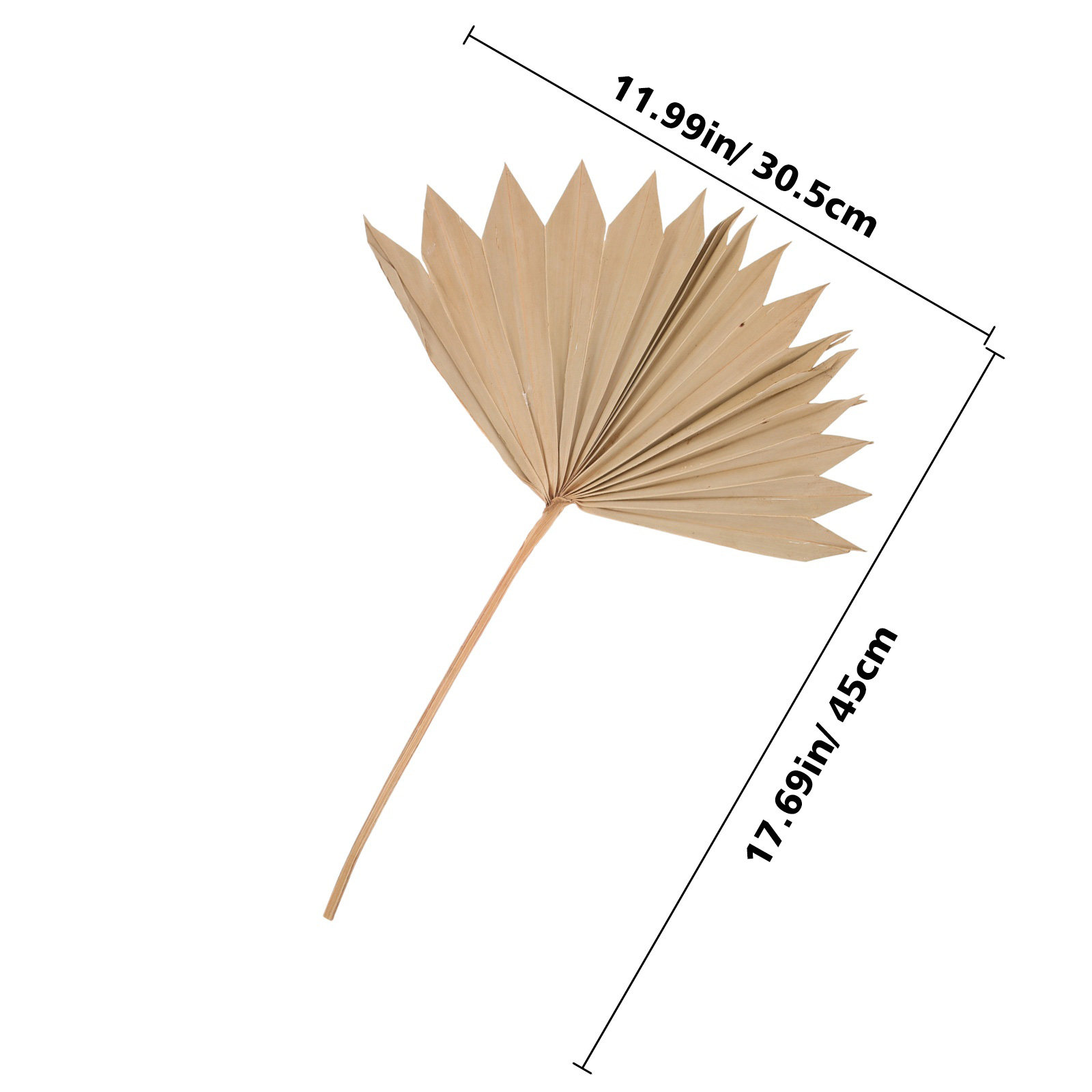 4Pcs Dried Palm Leaf Decoratio - Palm Leaf Dried incelemesi ve fiyatı