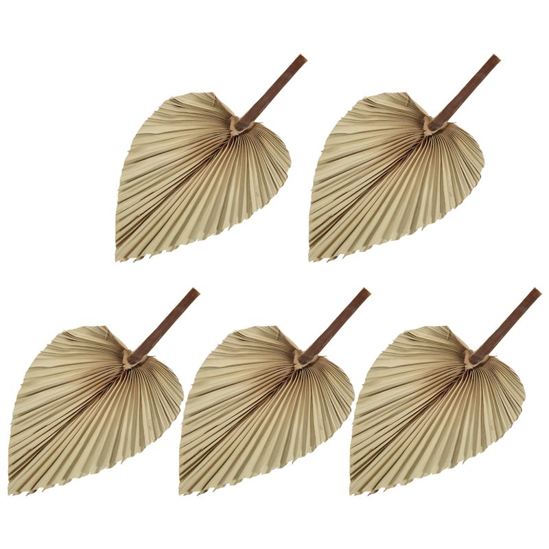 SEWS-5Pcs Natural Dried Palm L - Palm Leaf Dried incelemesi ve fiyatı