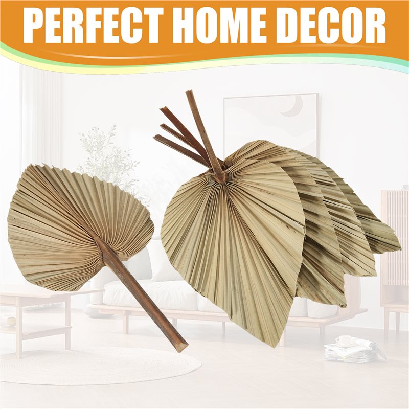 SEWS-5Pcs Natural Dried Palm L - Palm Leaf Dried incelemesi ve fiyatı