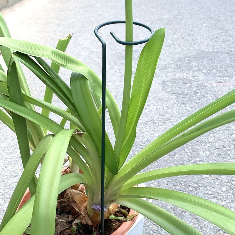 1-10pcs Metal Single Stem Plan - Florist Supply Bulk incelemesi ve fiyatı