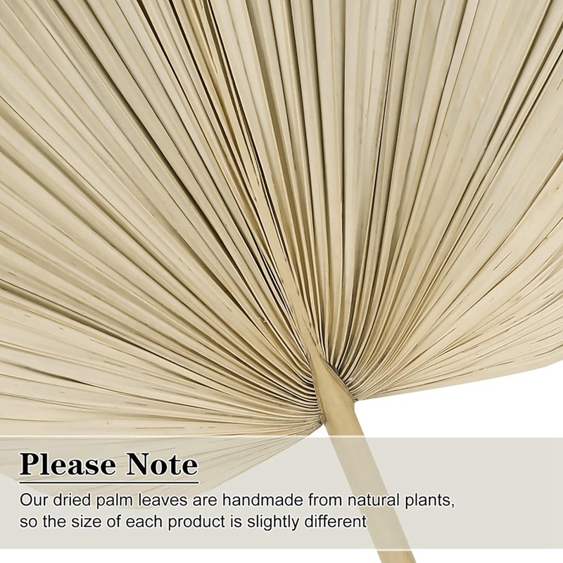 New 6PCS Dried Palm Leaves Nat - Palm Leaf Dried incelemesi ve fiyatı