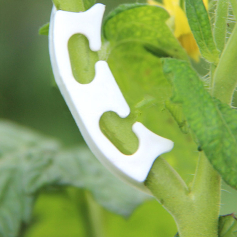 50/100pcs Botany-stem Vine Str - Florist Supply Bulk incelemesi ve fiyatı