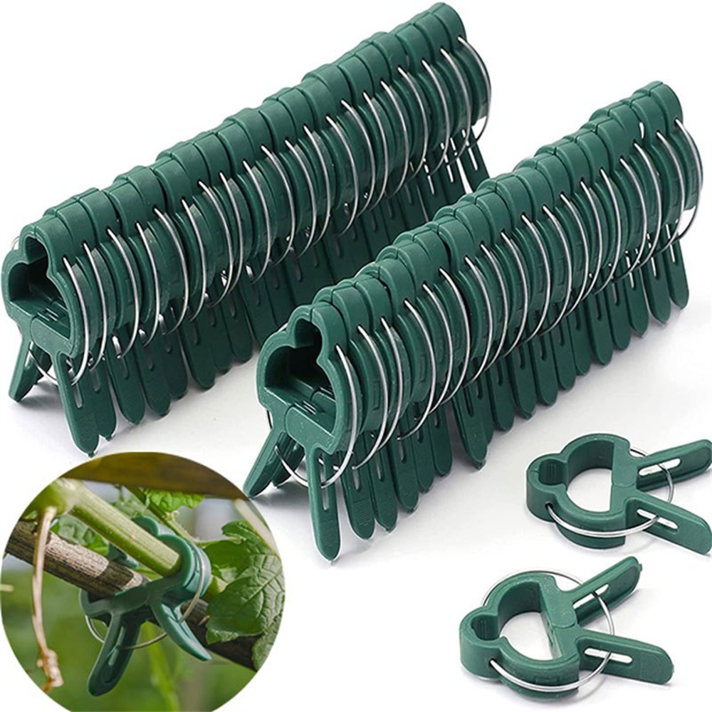 20pcs/Set Plant Fixed Clips Ad - Florist Supply Bulk incelemesi ve fiyatı