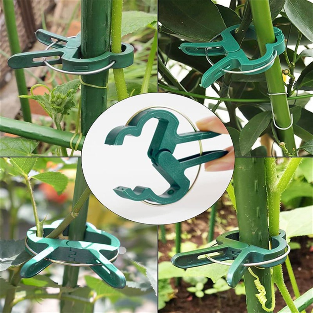 20pcs/Set Plant Fixed Clips Ad - Florist Supply Bulk incelemesi ve fiyatı