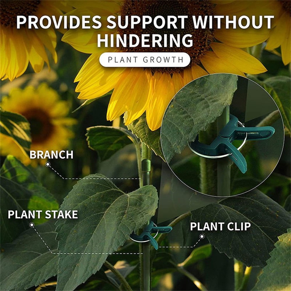 20pcs/Set Plant Fixed Clips Ad - Florist Supply Bulk incelemesi ve fiyatı