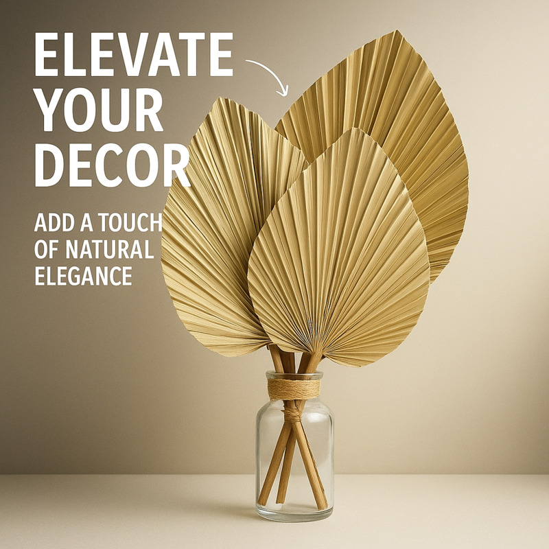 Mini Dried Palm Leaves – Tropi - Palm Leaf Dried incelemesi ve fiyatı