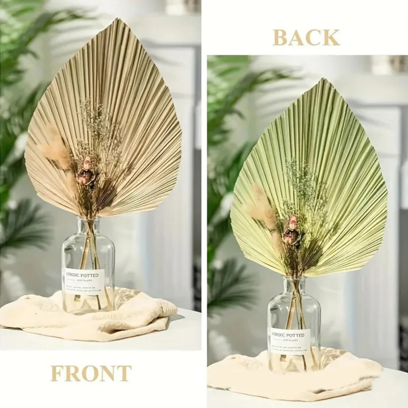 Mini Dried Palm Leaves – Tropi - Palm Leaf Dried incelemesi ve fiyatı
