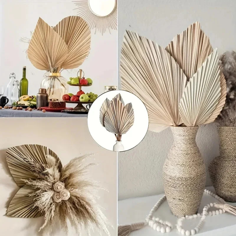 Mini Dried Palm Leaves – Tropi - Palm Leaf Dried incelemesi ve fiyatı