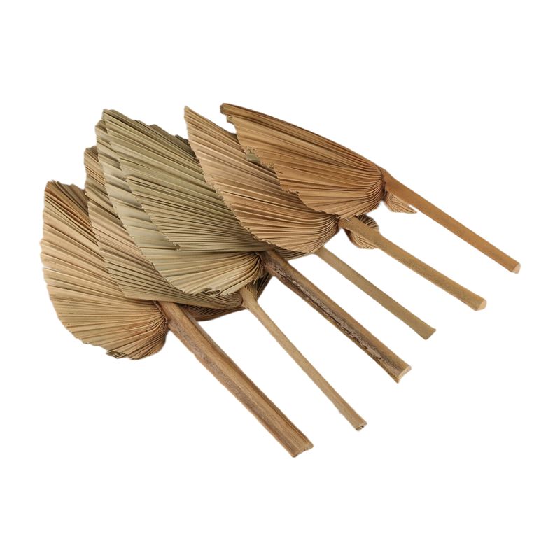 ABKO-6PCS Dried Palm Leaves Na - Palm Leaf Dried incelemesi ve fiyatı