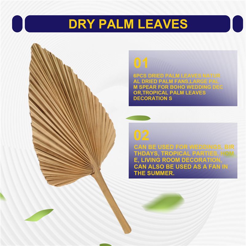 ABKO-6PCS Dried Palm Leaves Na - Palm Leaf Dried incelemesi ve fiyatı