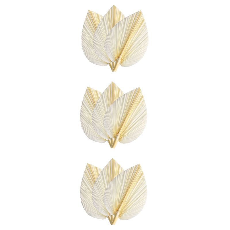 Large White Dried Palm Leaves  - Palm Leaf Dried incelemesi ve fiyatı