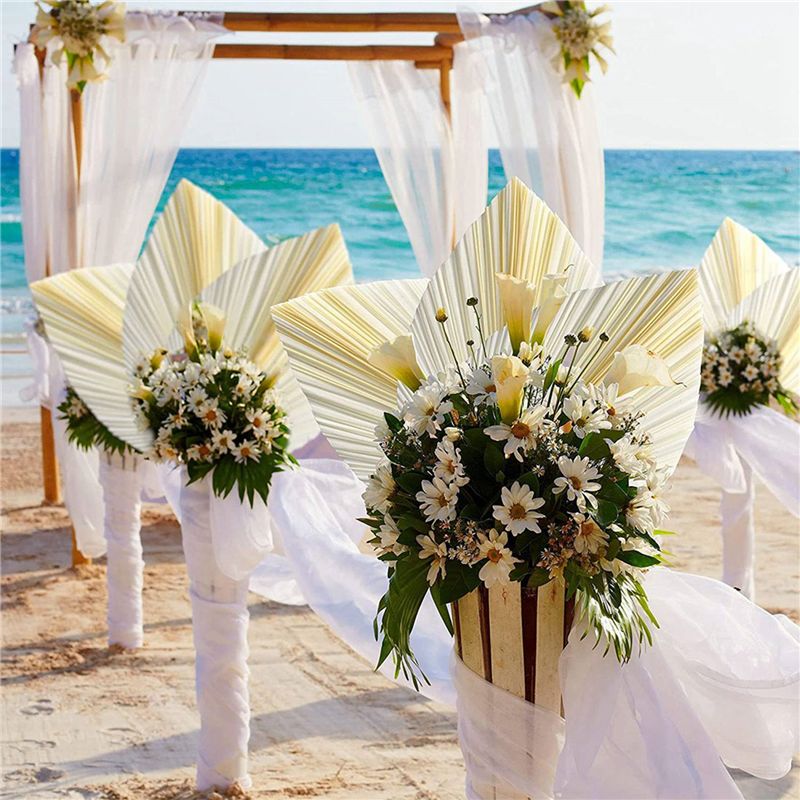 Large White Dried Palm Leaves  - Palm Leaf Dried incelemesi ve fiyatı