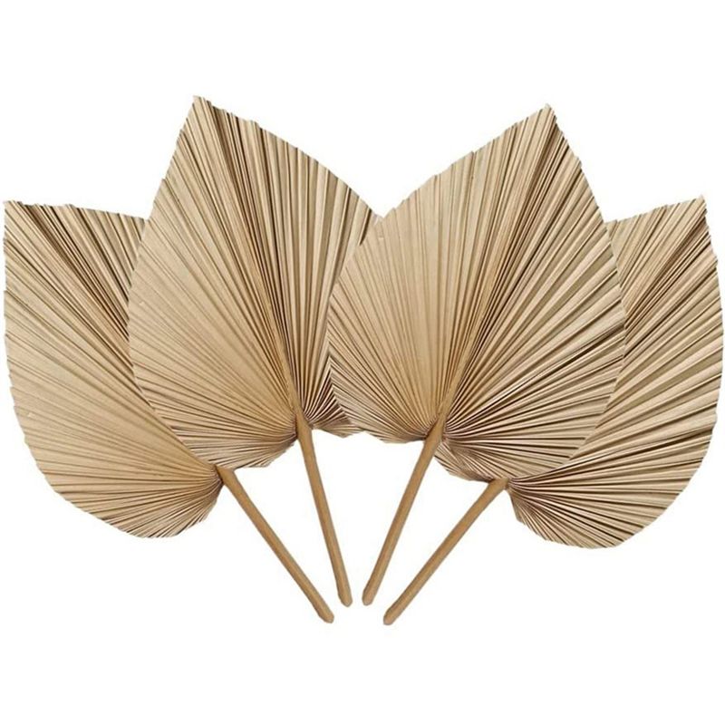 Fresh 4 Pieces Natural Dried P - Palm Leaf Dried incelemesi ve fiyatı