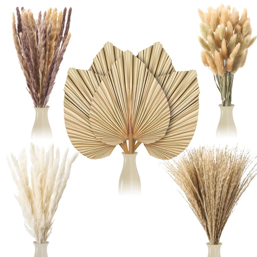 Pcs Boho Dried Pampas Grass De - Palm Leaf Dried incelemesi ve fiyatı
