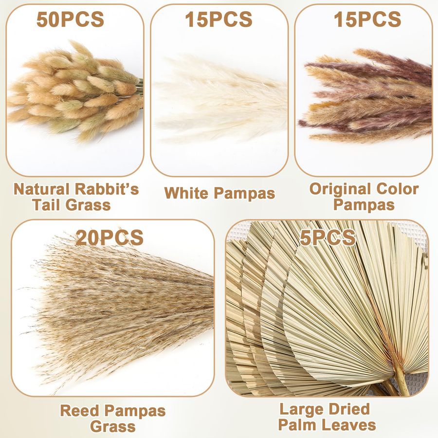Pcs Boho Dried Pampas Grass De - Palm Leaf Dried incelemesi ve fiyatı