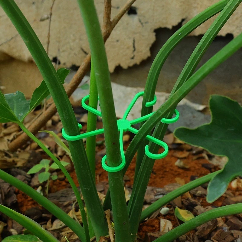4pcs Plant Stem Support Clips  - Florist Supply Bulk incelemesi ve fiyatı