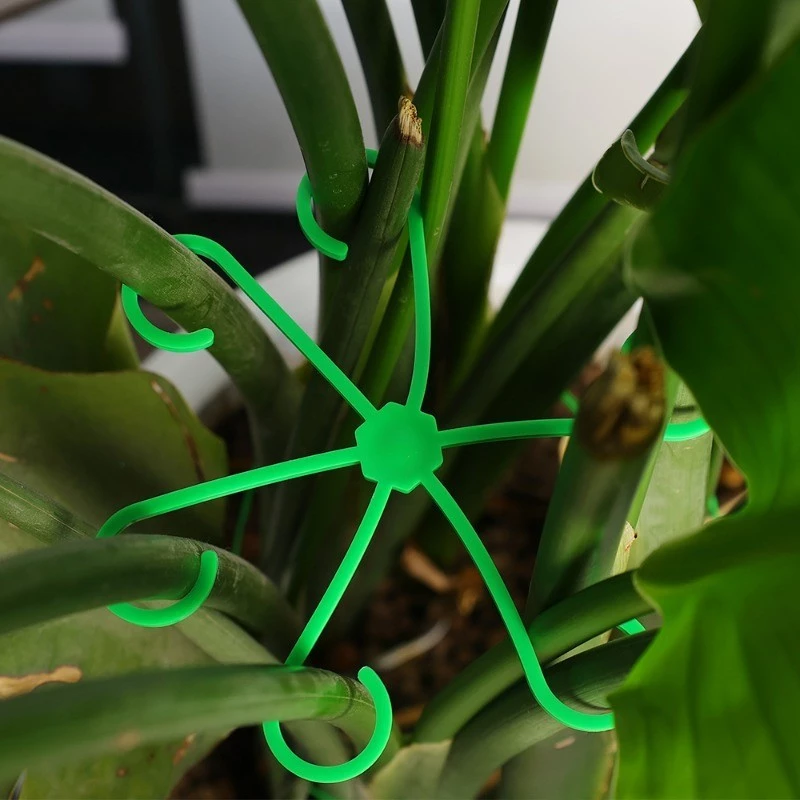 4pcs Plant Stem Support Clips  - Florist Supply Bulk incelemesi ve fiyatı