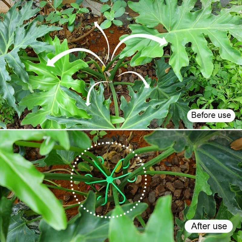 4pcs Plant Stem Support Clips  - Florist Supply Bulk incelemesi ve fiyatı